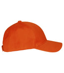 WK pet - Oranje